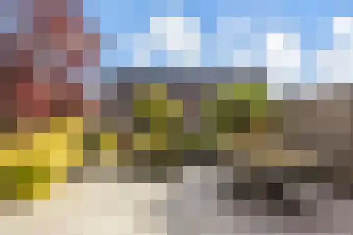 Platostraat 17 Honselersdijk thumbnail 4