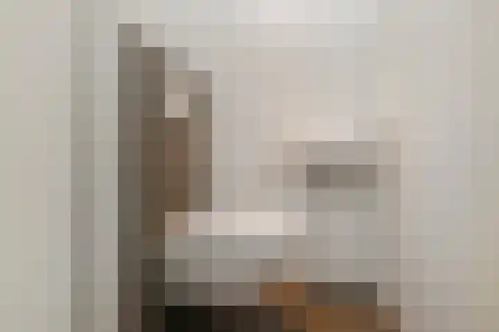 Platostraat 17 Honselersdijk thumbnail 8