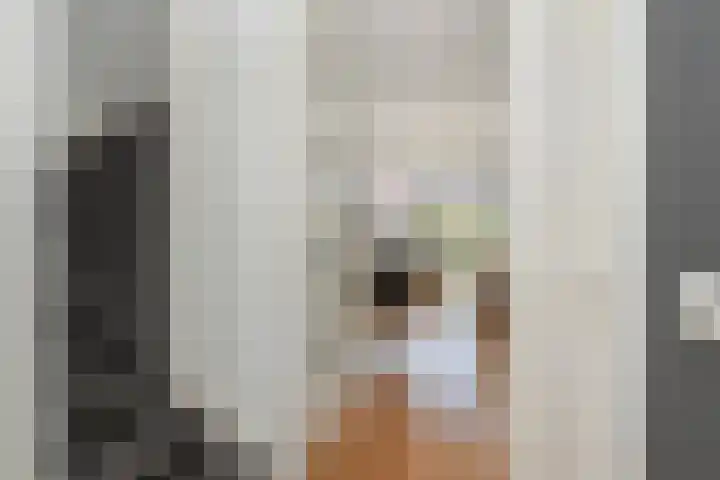 Platostraat 17 Honselersdijk thumbnail 9