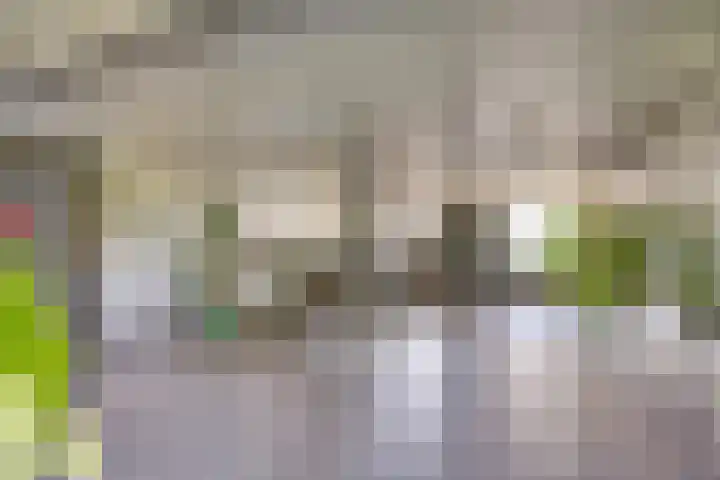 Platostraat 188 Rotterdam thumbnail 23