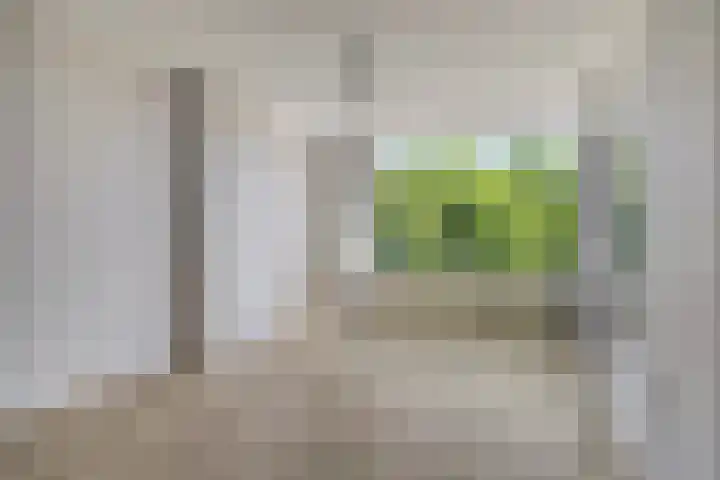 Platostraat 218 Rotterdam thumbnail 11
