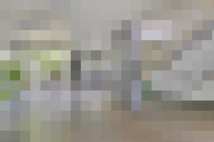 Platostraat 218 Rotterdam thumbnail 5