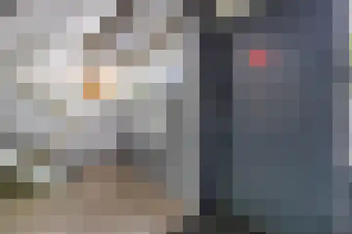 Platostraat 218 Rotterdam thumbnail 6