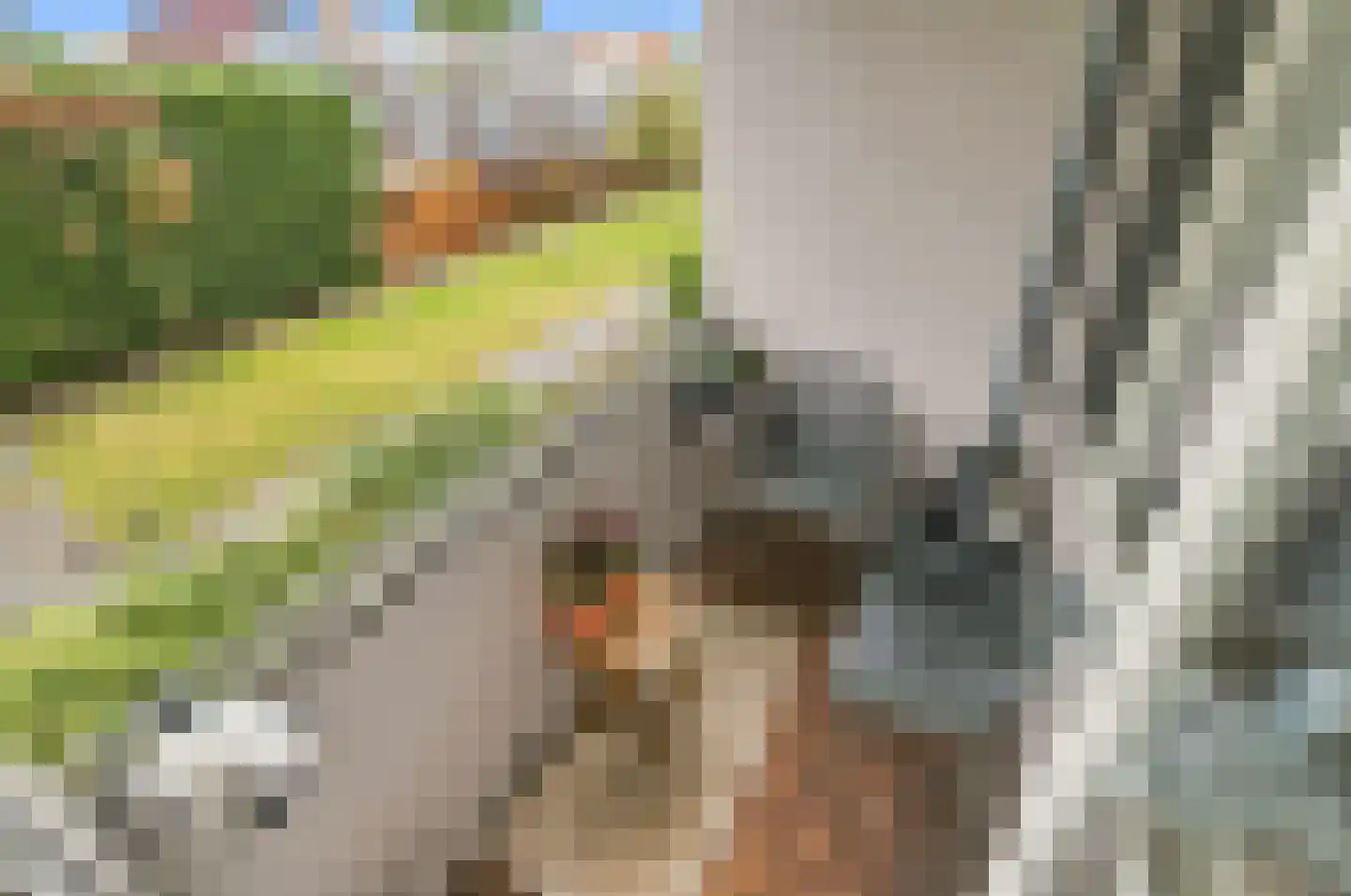 Platostraat 40 Rotterdam thumbnail 4