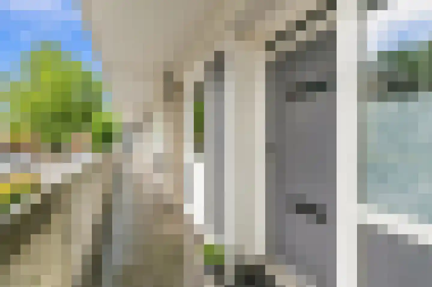 Platostraat 40 Rotterdam thumbnail 5