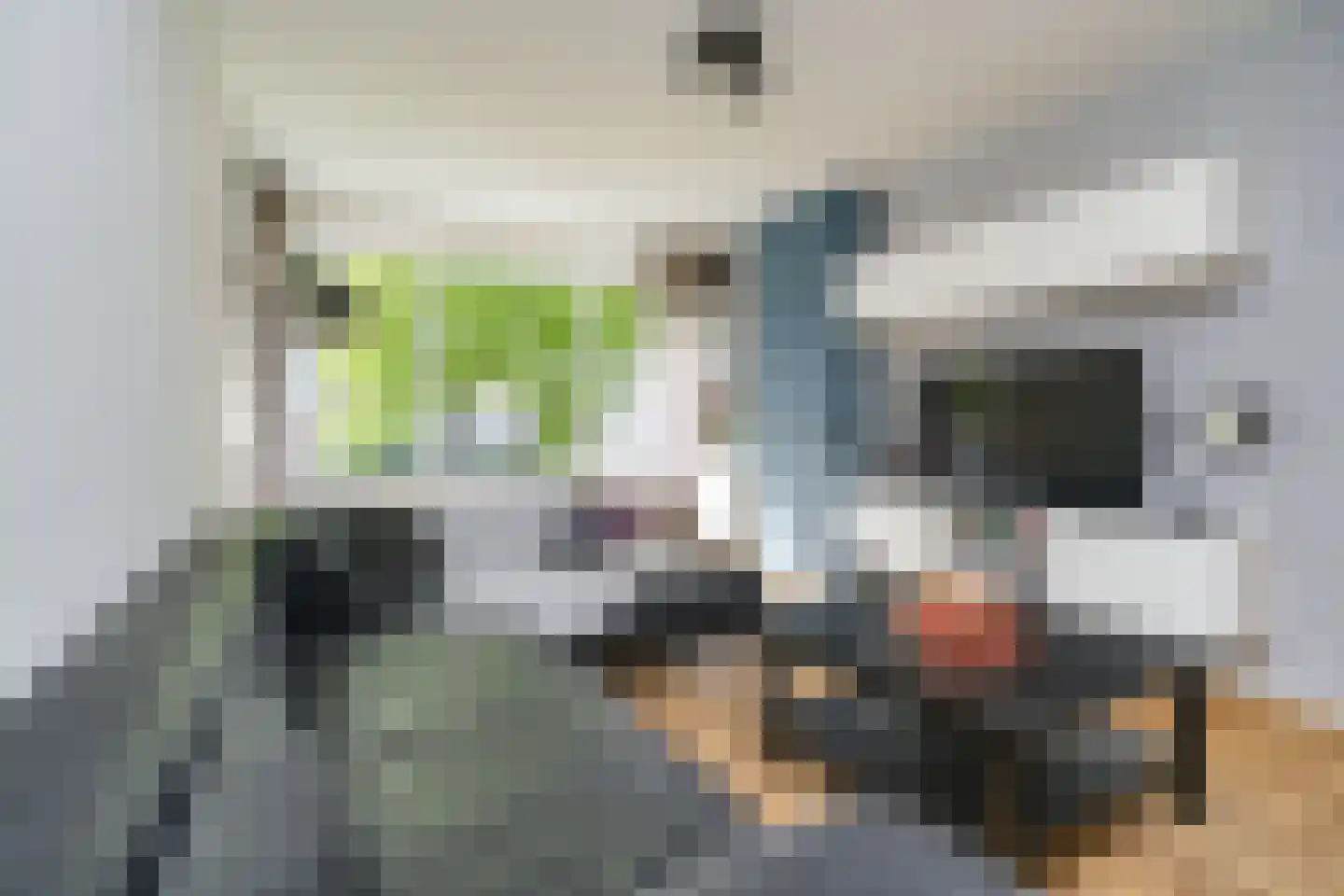 Platostraat 55 Rotterdam thumbnail 6