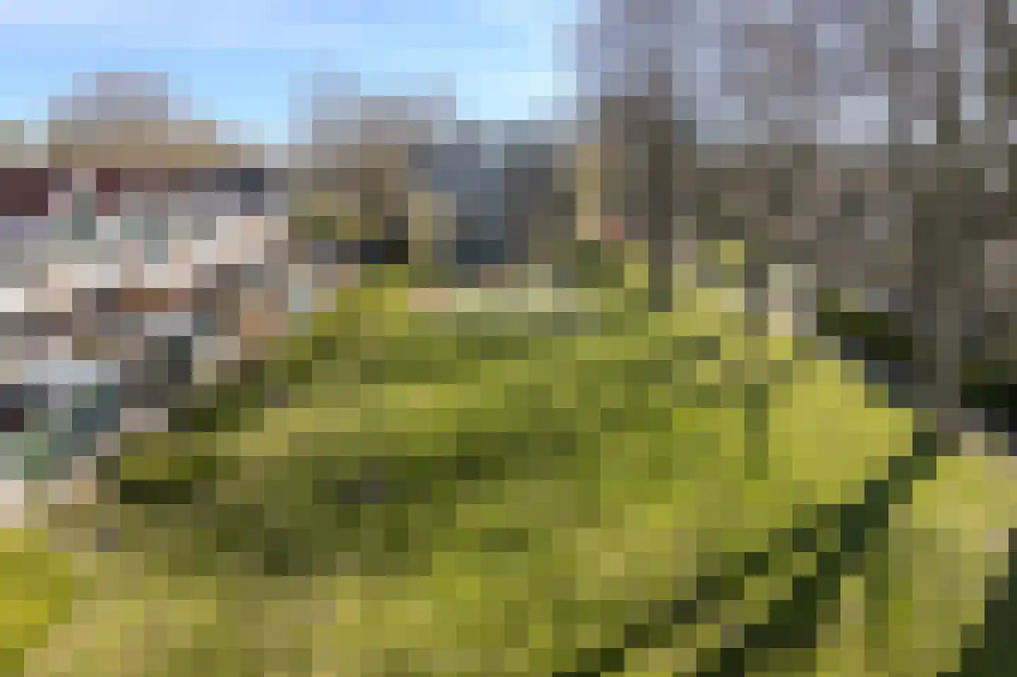 Platostraat 70 Rotterdam thumbnail 5