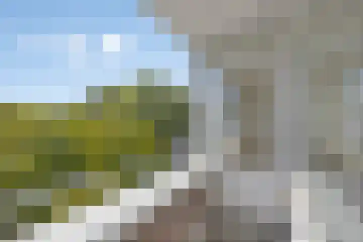 Platostraat 75 Rotterdam thumbnail 12
