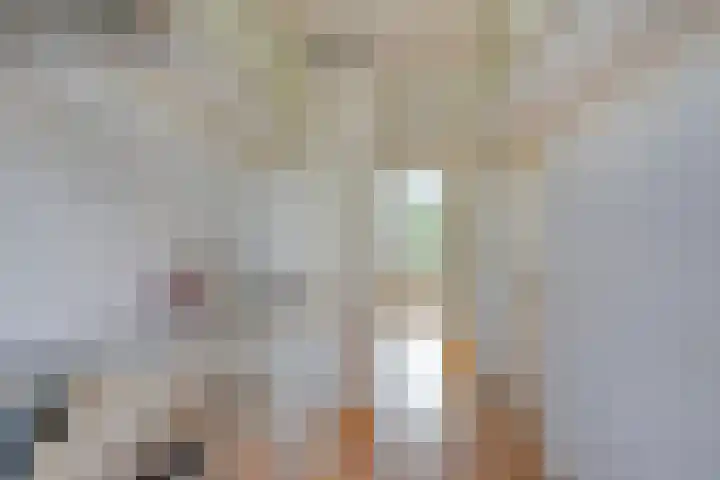 Platostraat 75 Rotterdam thumbnail 9
