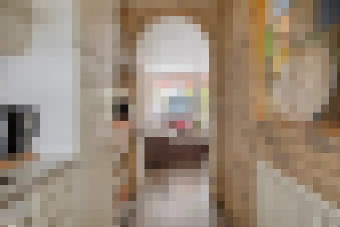 Platostraat 8 Rotterdam thumbnail 11