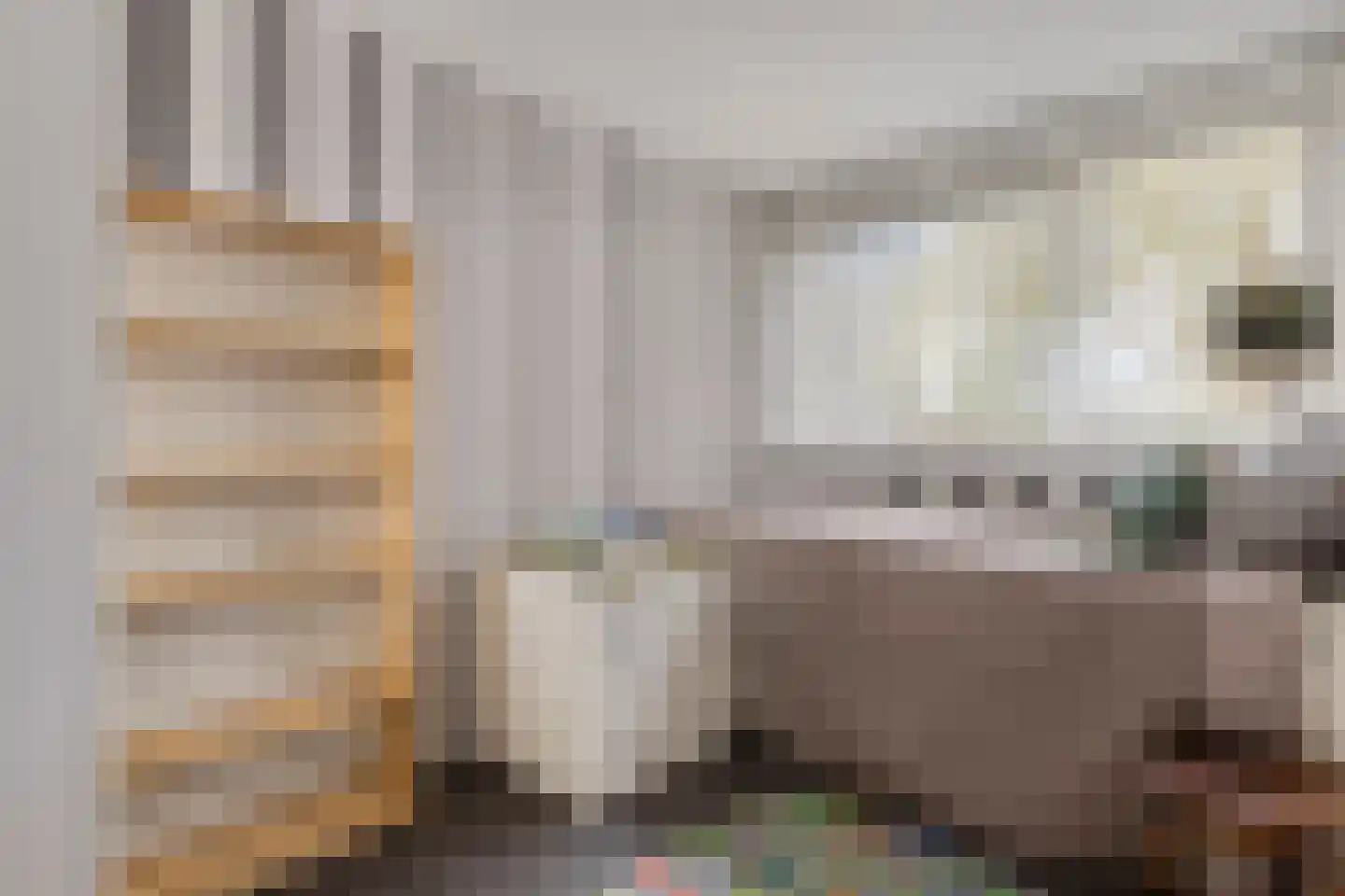 Platostraat 8 Rotterdam thumbnail 21