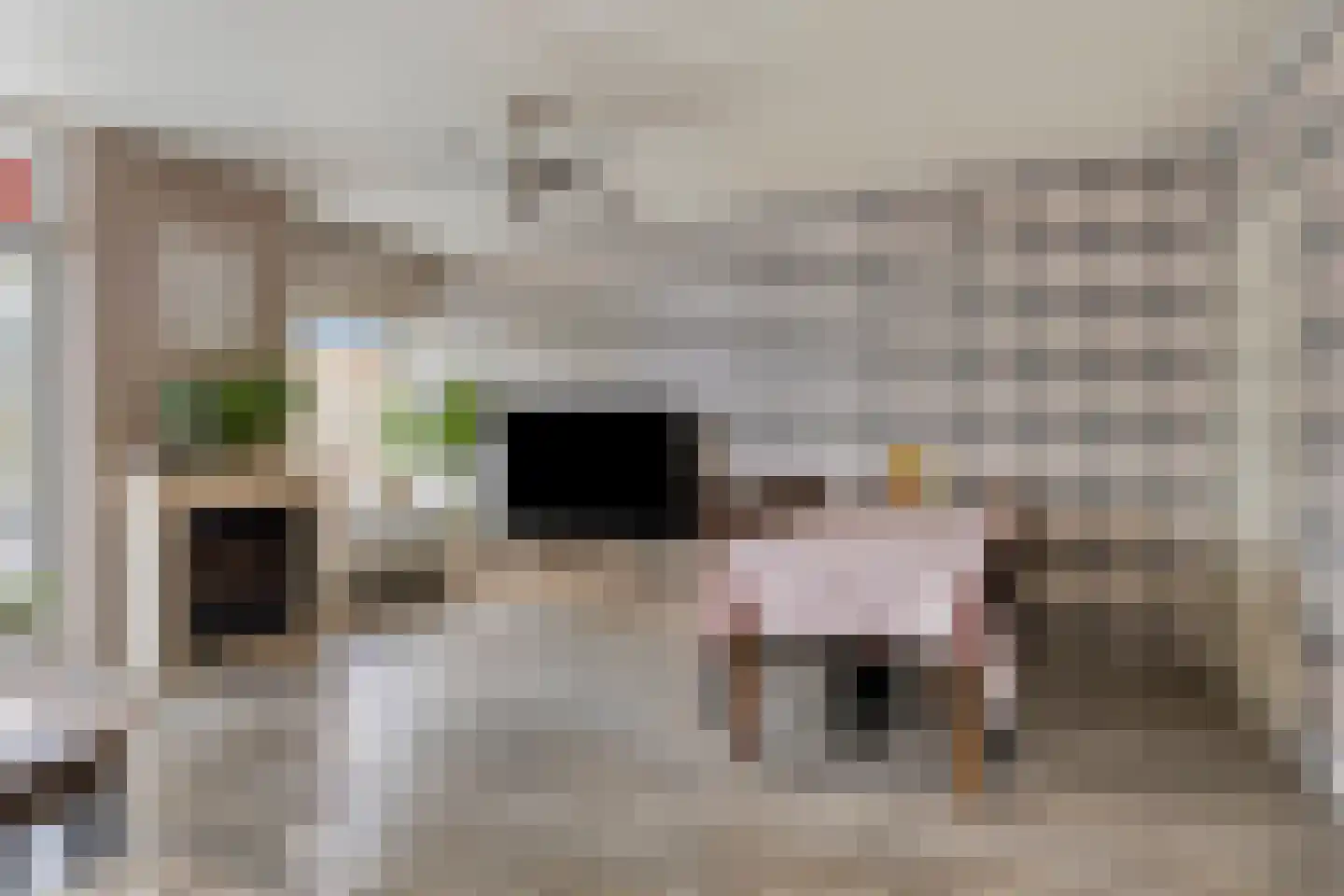 Platostraat 8 Rotterdam thumbnail 7