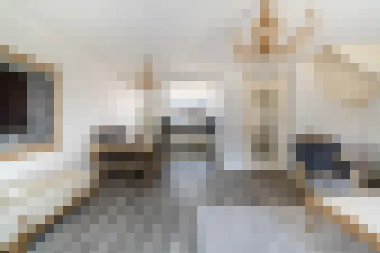 Platostraat 9 Honselersdijk thumbnail 11