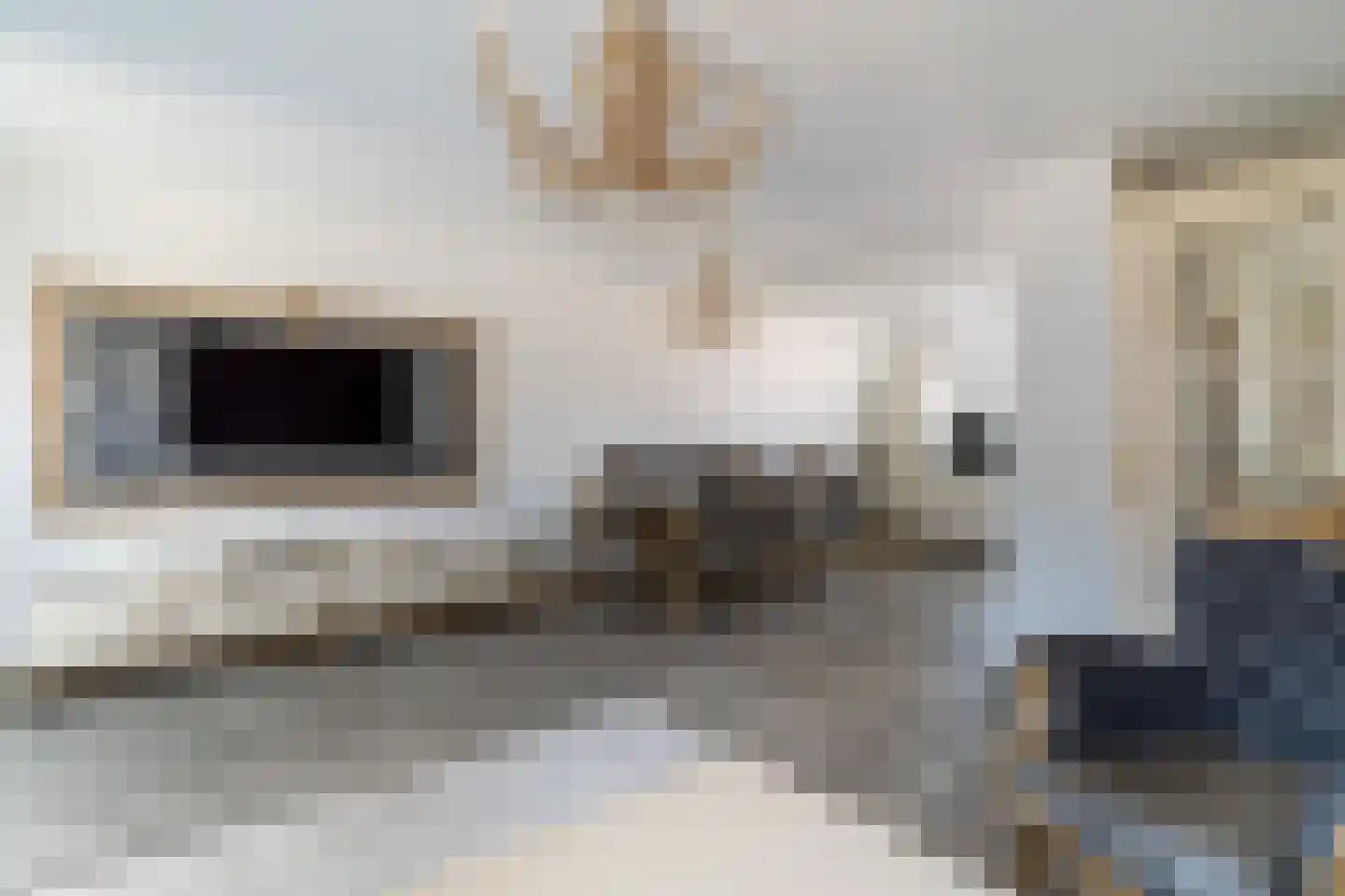 Platostraat 9 Honselersdijk thumbnail 12