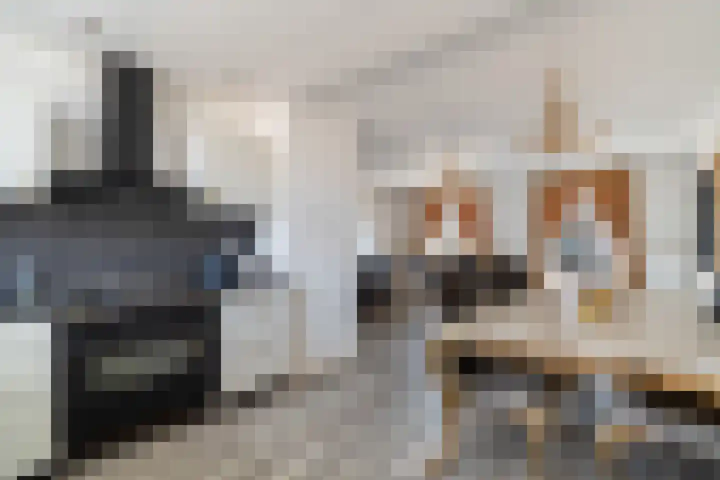 Platostraat 9 Honselersdijk thumbnail 16