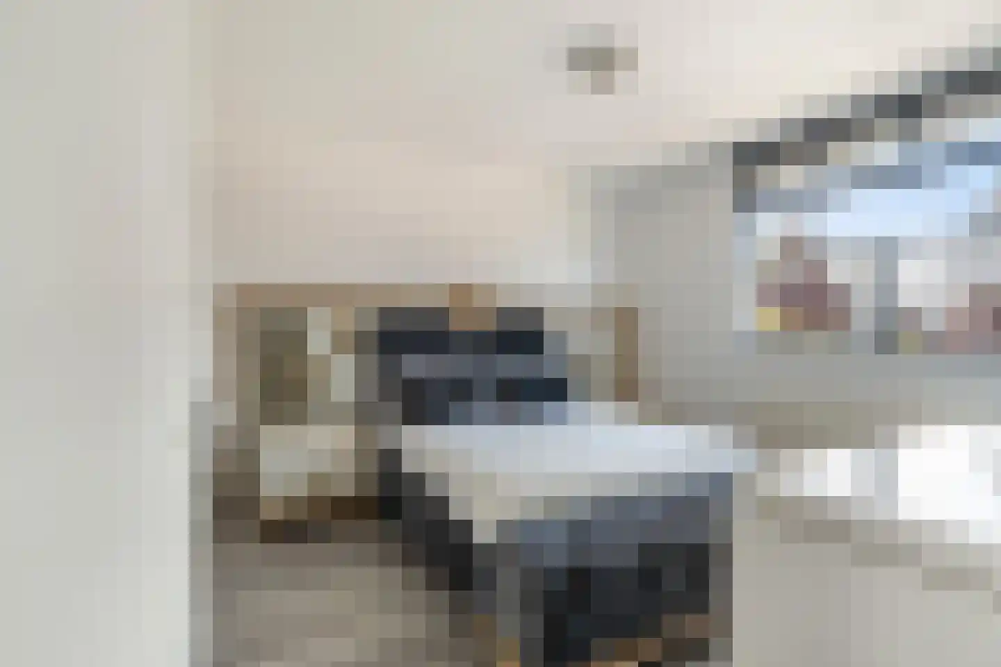 Platostraat 9 Honselersdijk thumbnail 21