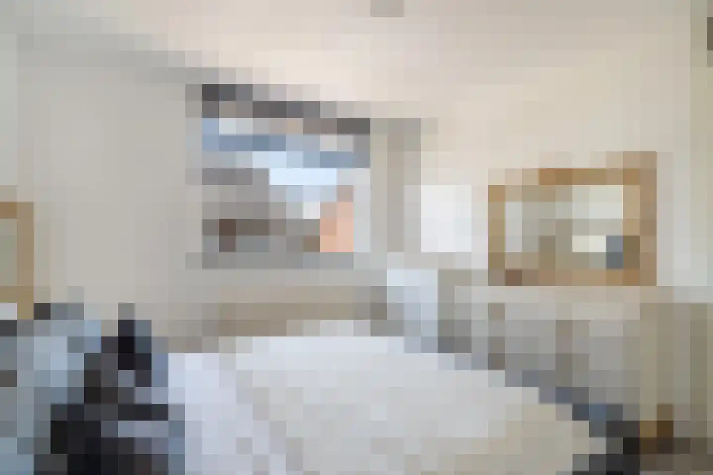 Platostraat 9 Honselersdijk thumbnail 22