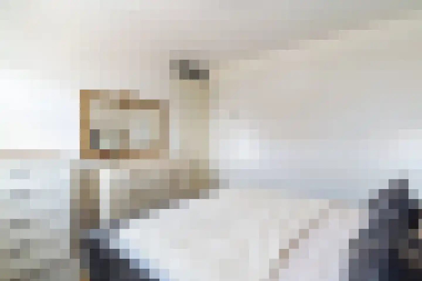 Platostraat 9 Honselersdijk thumbnail 23