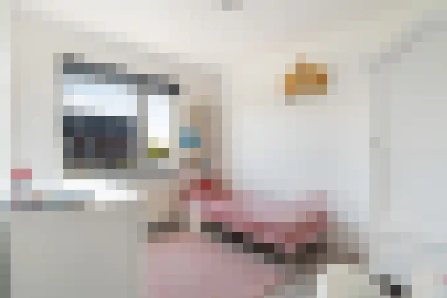 Platostraat 9 Honselersdijk thumbnail 24