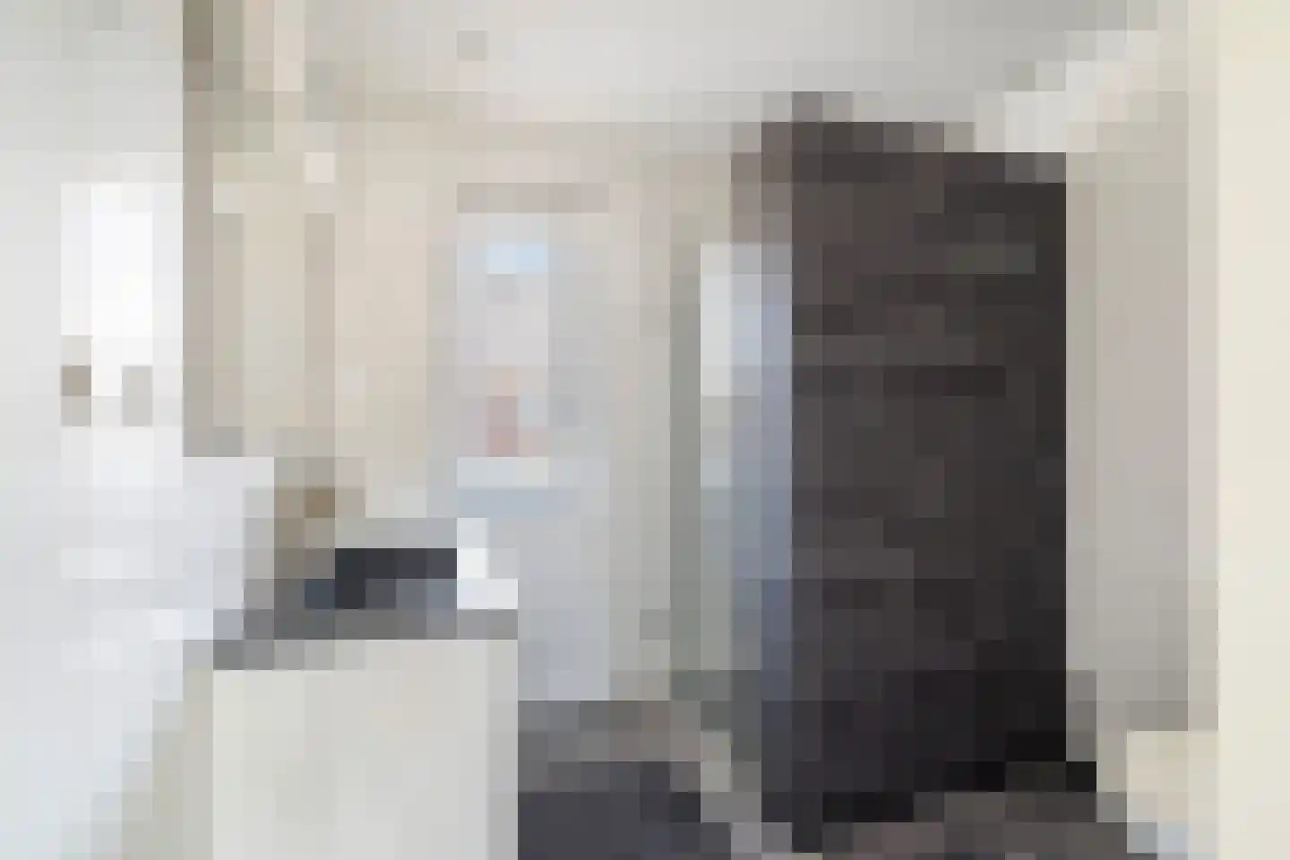 Platostraat 9 Honselersdijk thumbnail 29