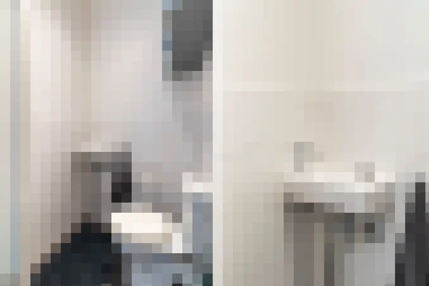 Platostraat 9 Honselersdijk thumbnail 8