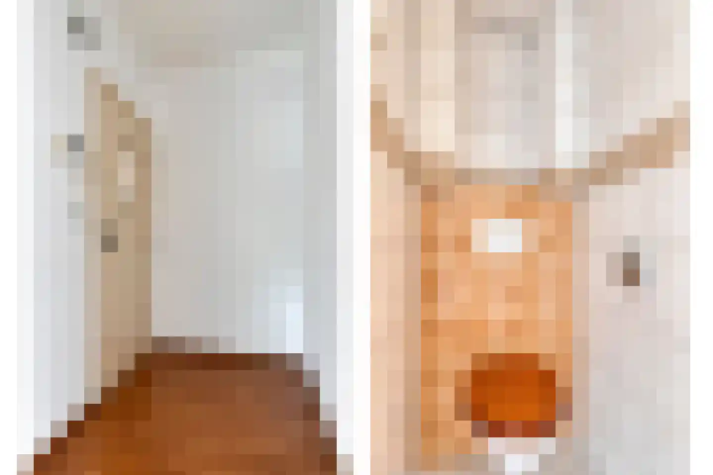 Platostraat 93 Rotterdam thumbnail 9