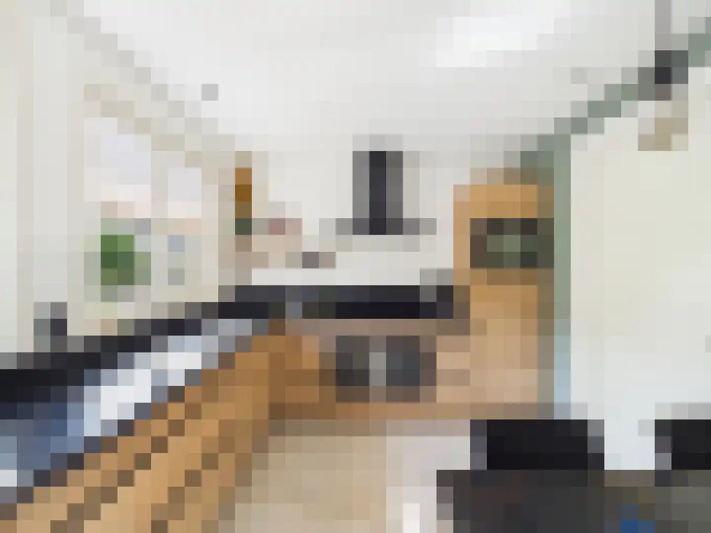 Platschelp 4 Terneuzen thumbnail 13