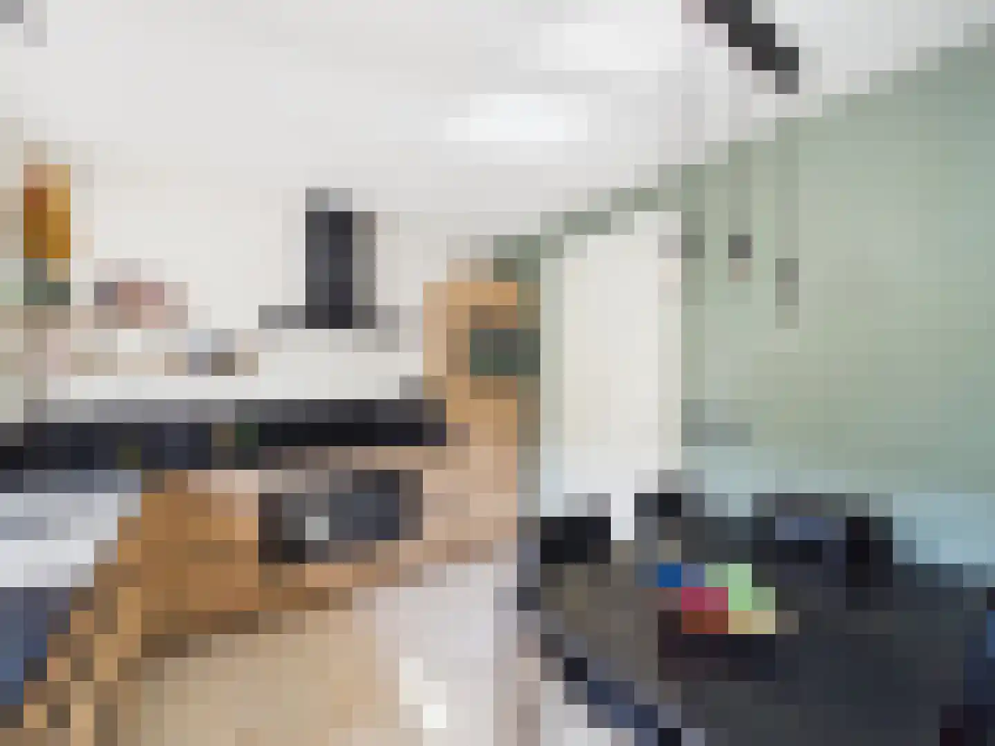 Platschelp 4 Terneuzen thumbnail 14