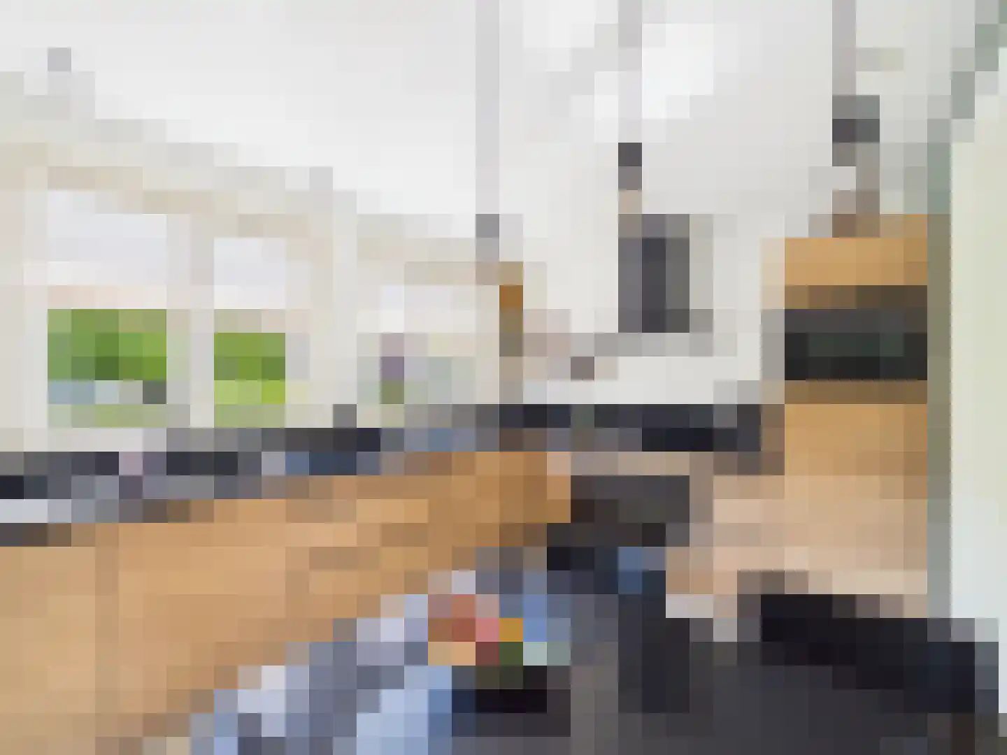 Platschelp 4 Terneuzen thumbnail 15