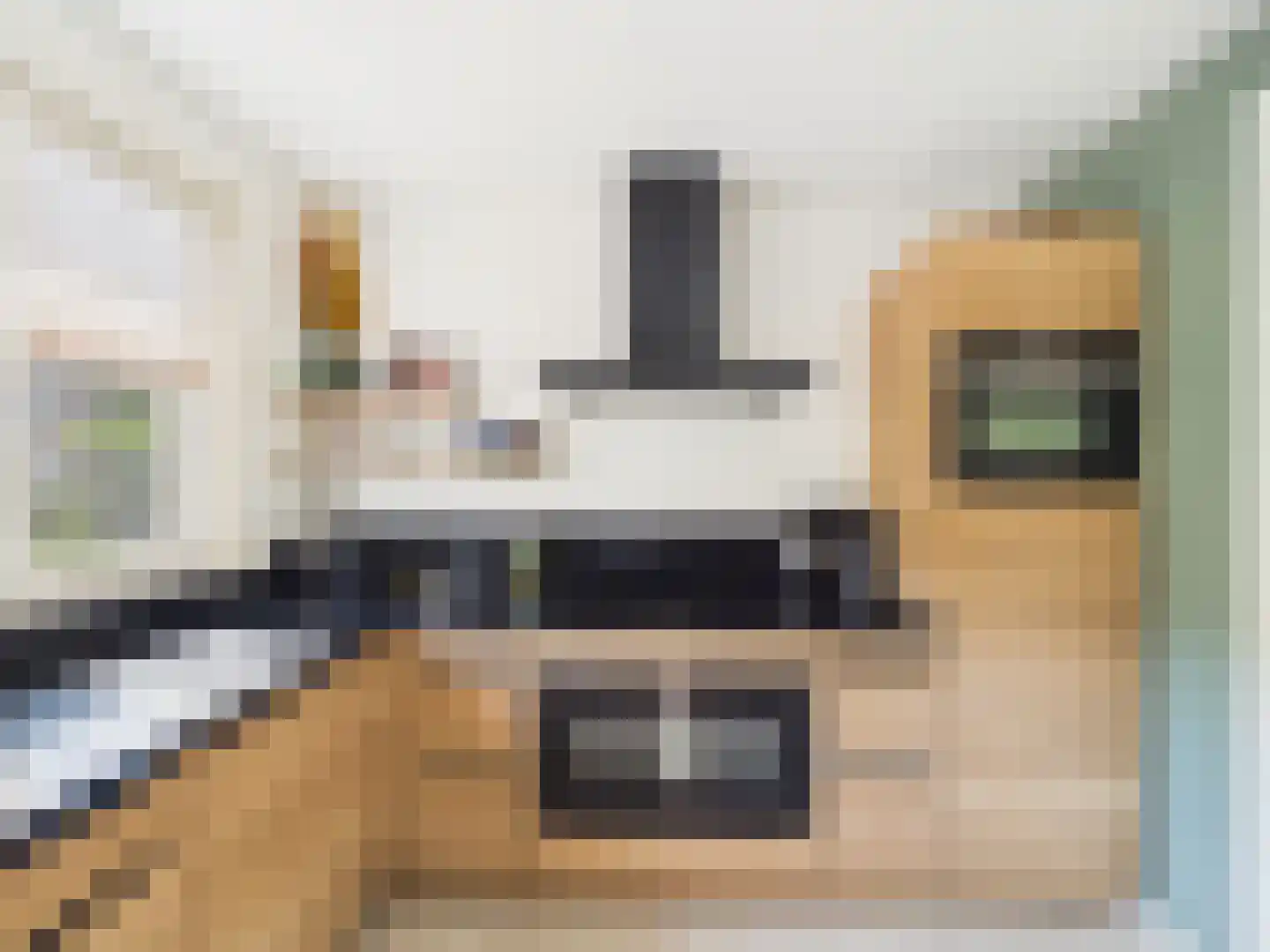 Platschelp 4 Terneuzen thumbnail 16