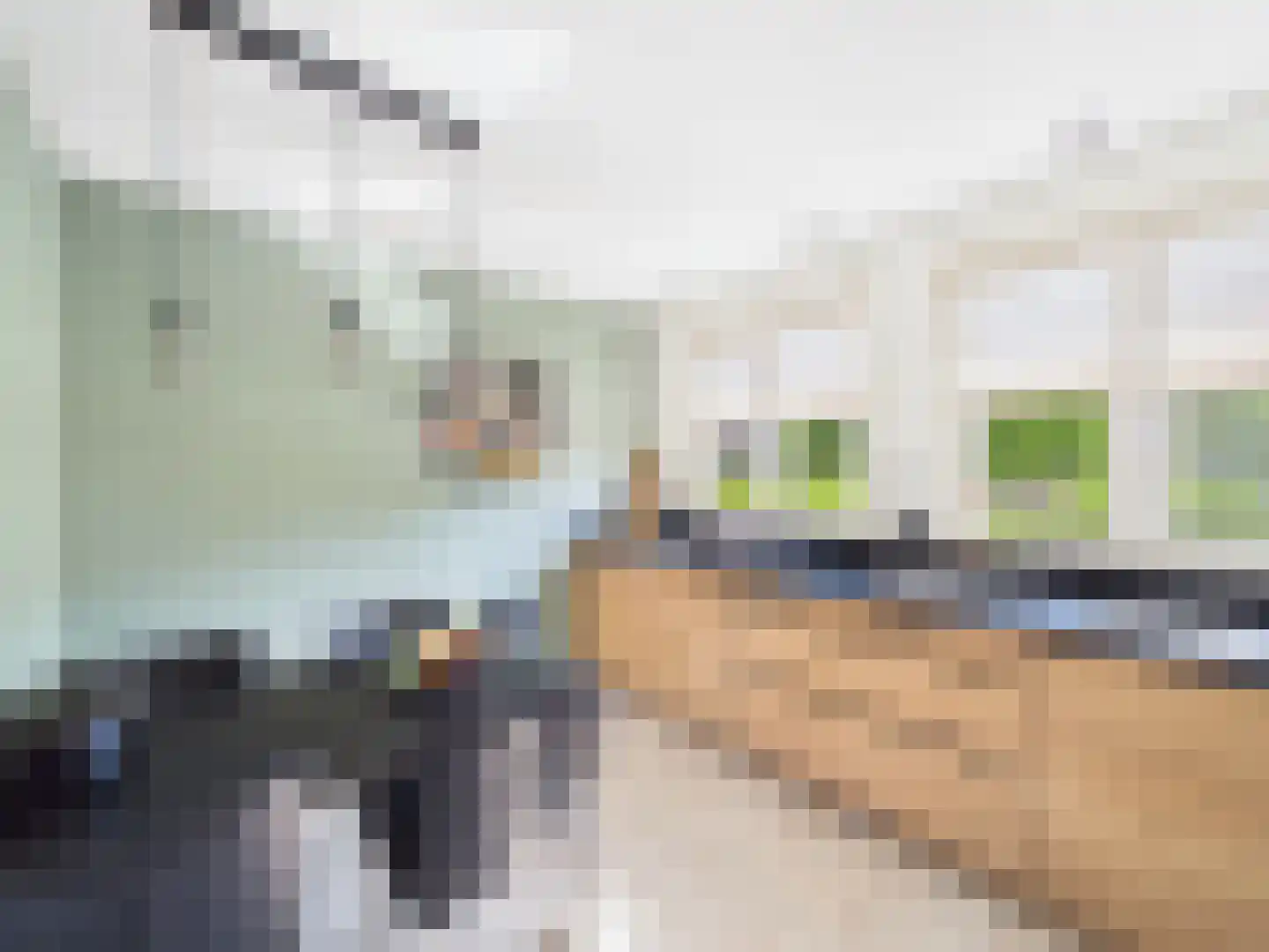 Platschelp 4 Terneuzen thumbnail 18
