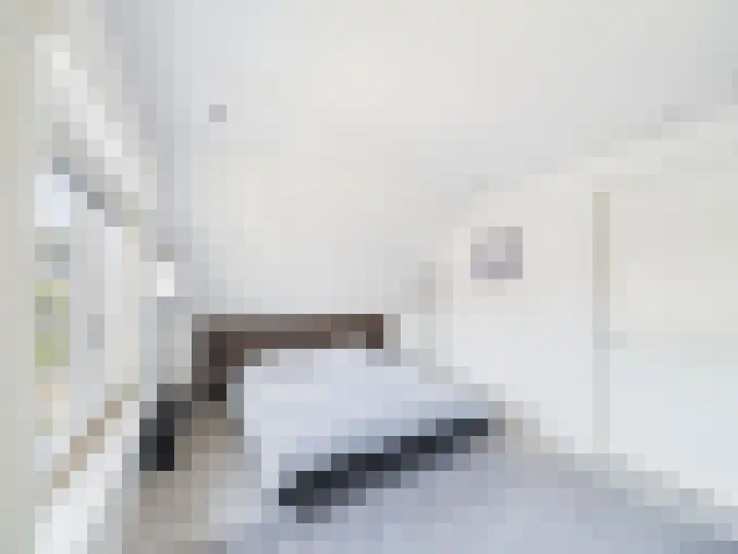 Platschelp 4 Terneuzen thumbnail 24