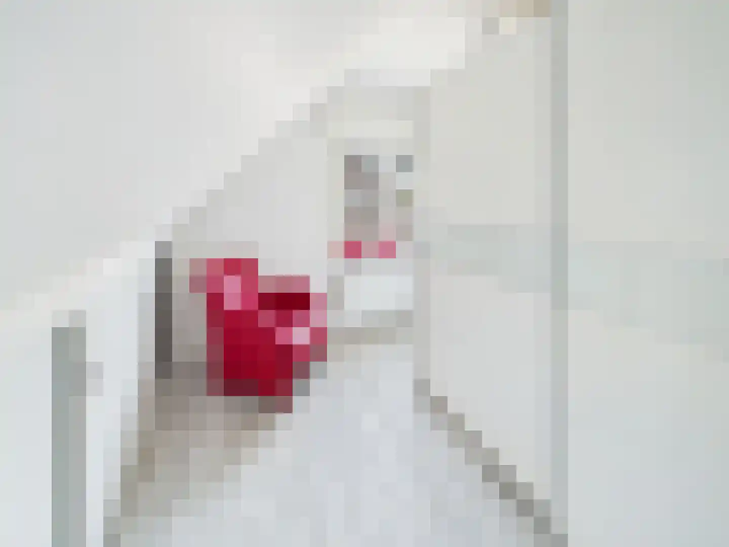 Platschelp 4 Terneuzen thumbnail 27
