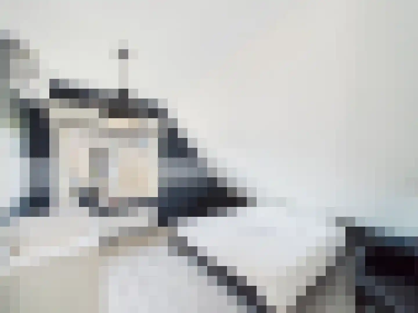 Platschelp 4 Terneuzen thumbnail 29
