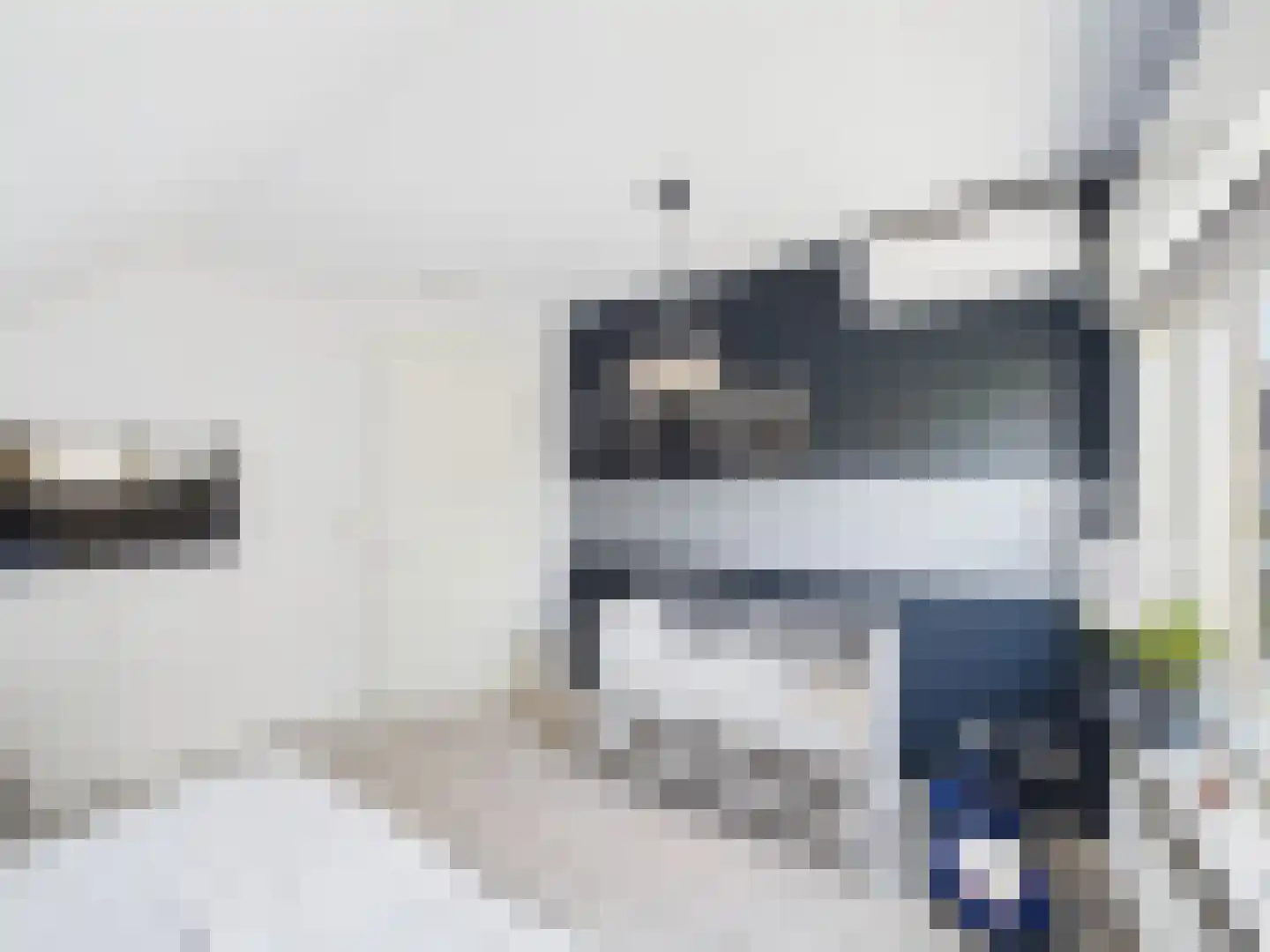 Platschelp 4 Terneuzen thumbnail 31