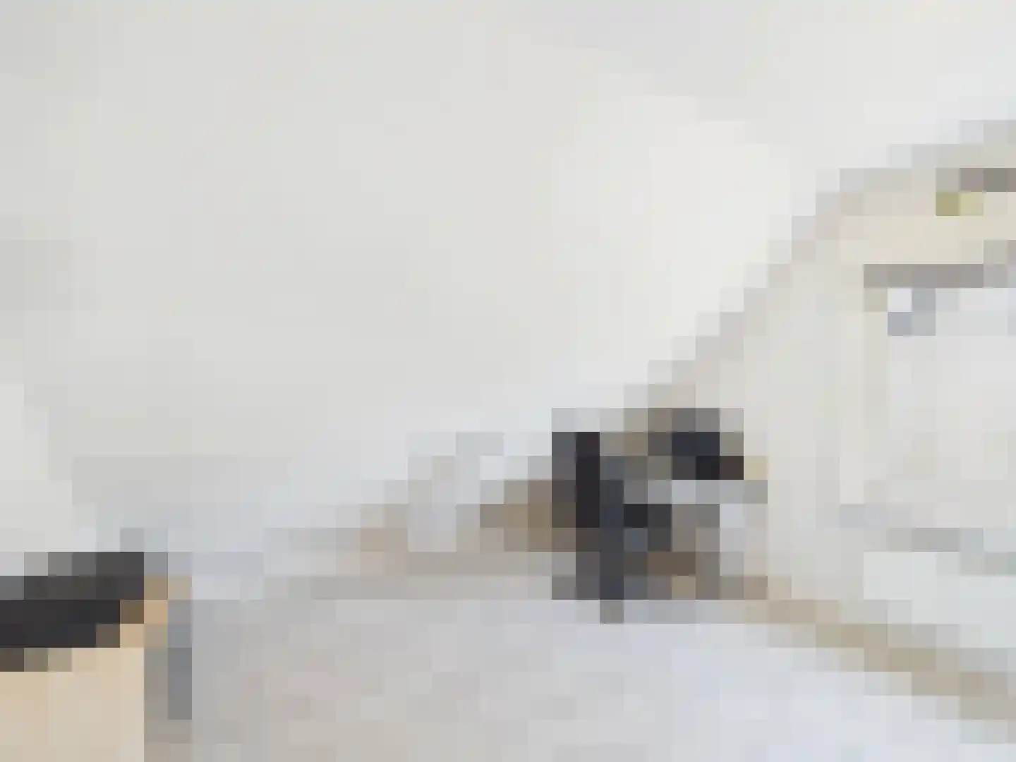 Platschelp 4 Terneuzen thumbnail 32