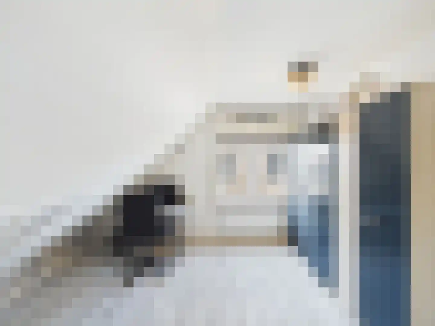 Platschelp 4 Terneuzen thumbnail 33