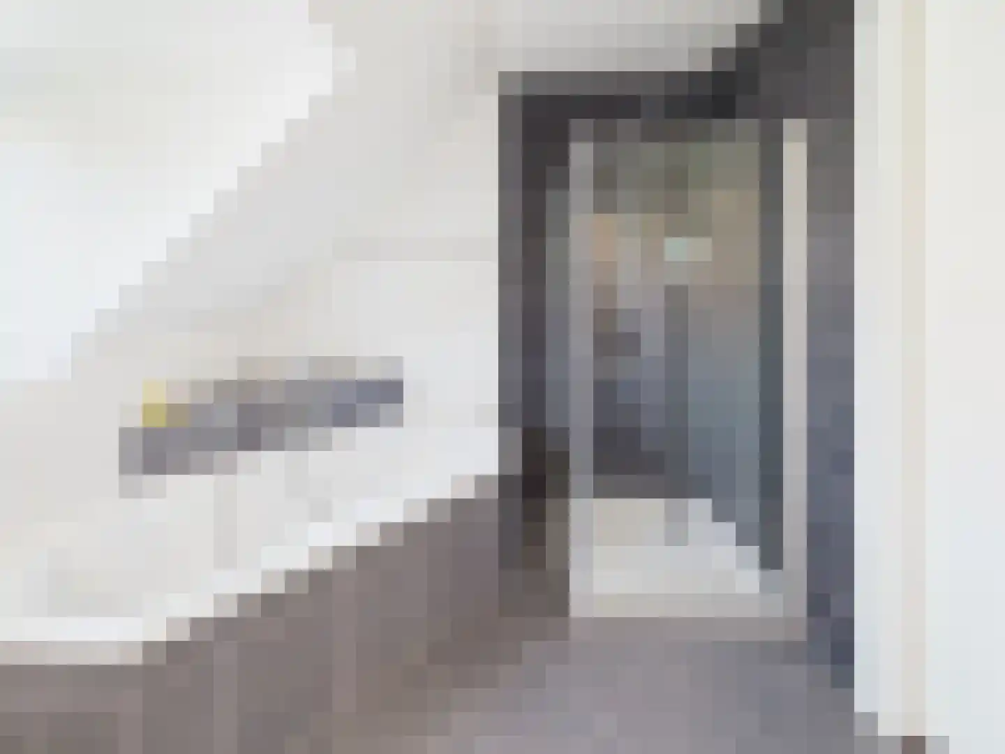 Platschelp 4 Terneuzen thumbnail 38