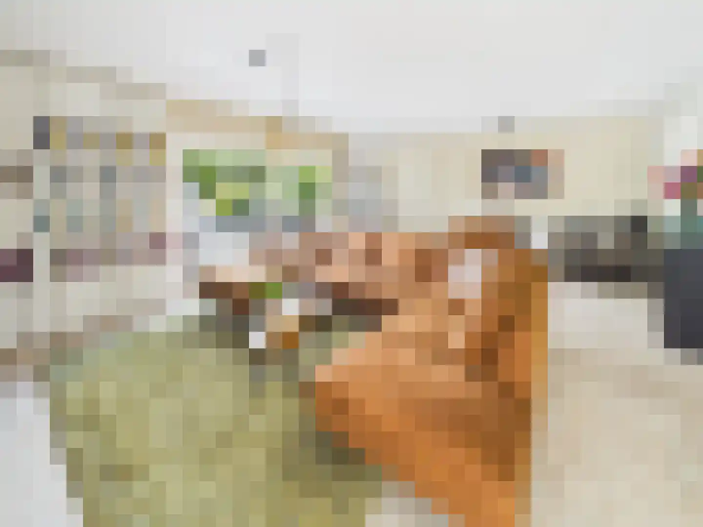 Platschelp 4 Terneuzen thumbnail 4