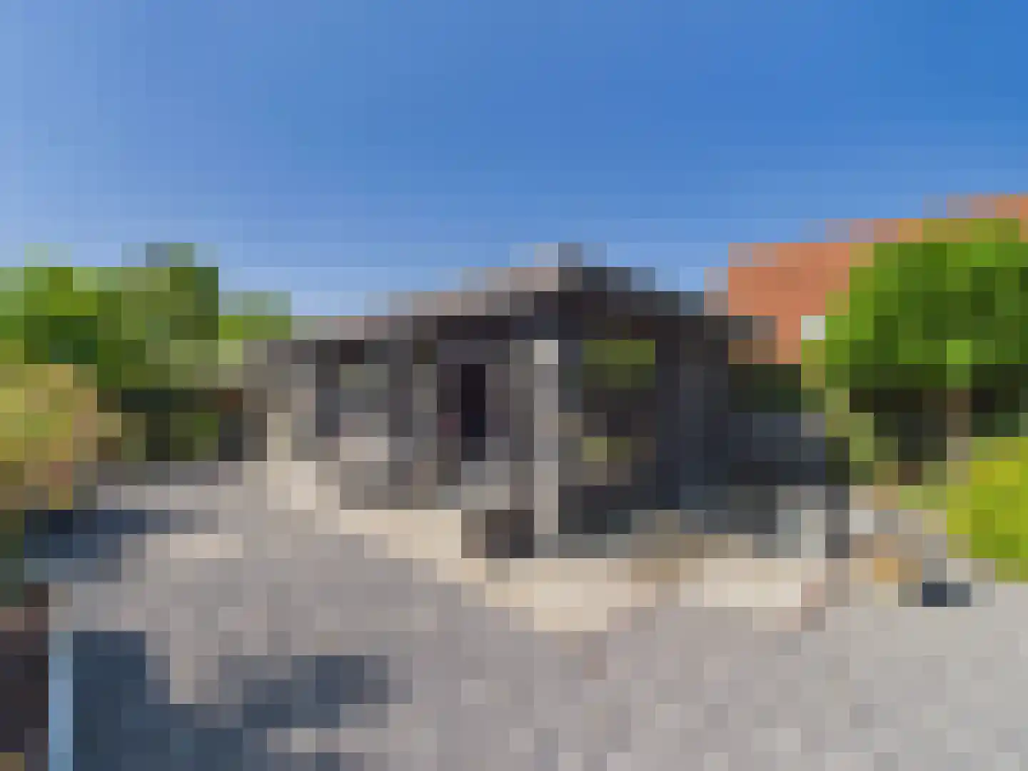 Platschelp 4 Terneuzen thumbnail 45