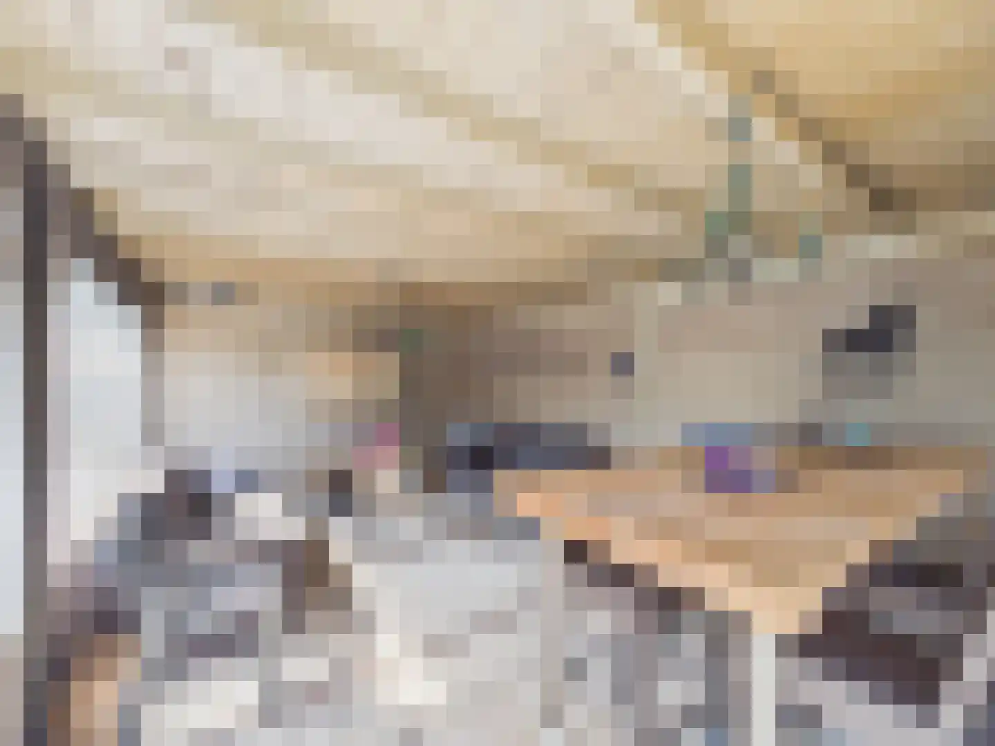 Platschelp 4 Terneuzen thumbnail 46