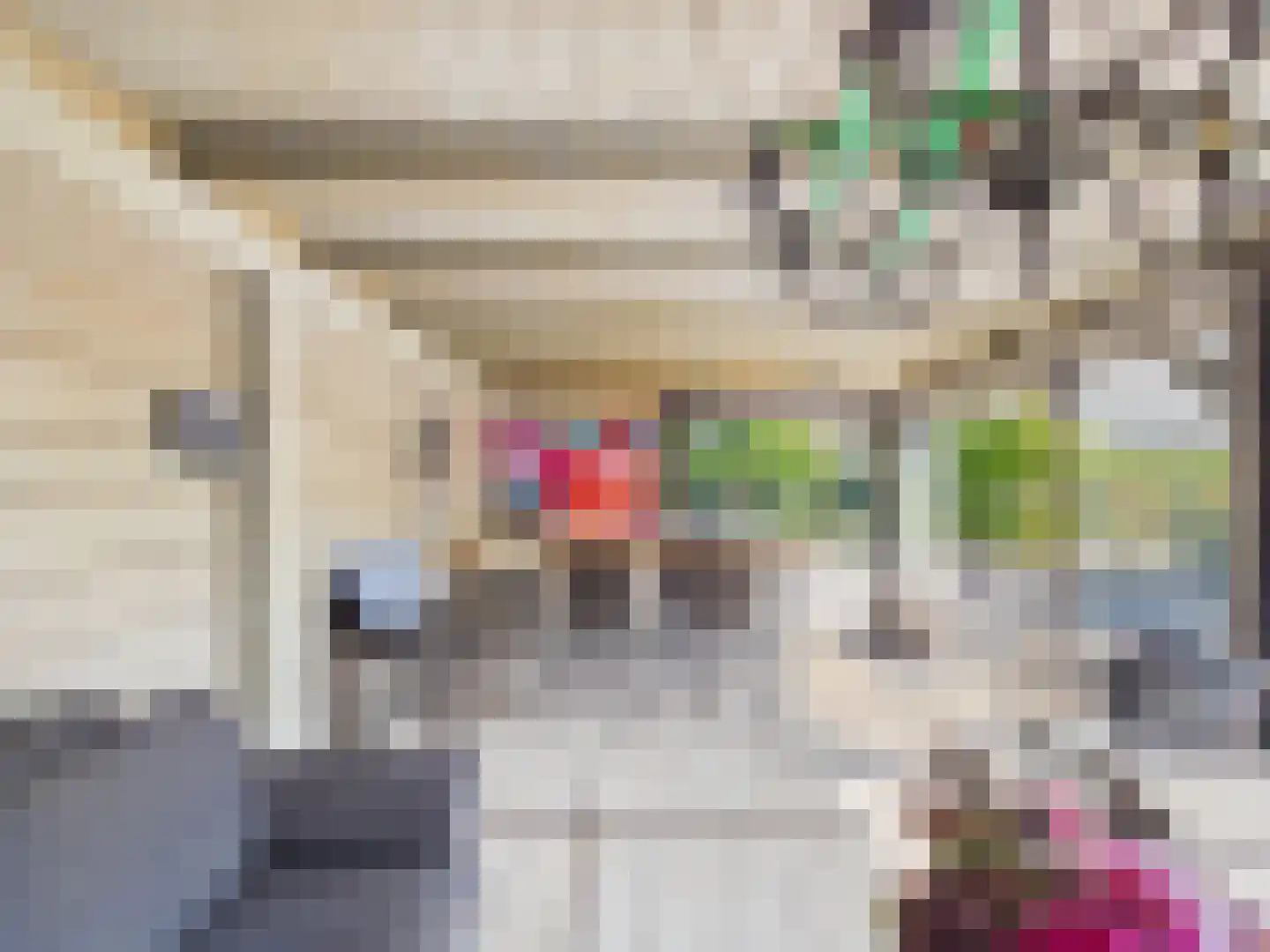 Platschelp 4 Terneuzen thumbnail 47