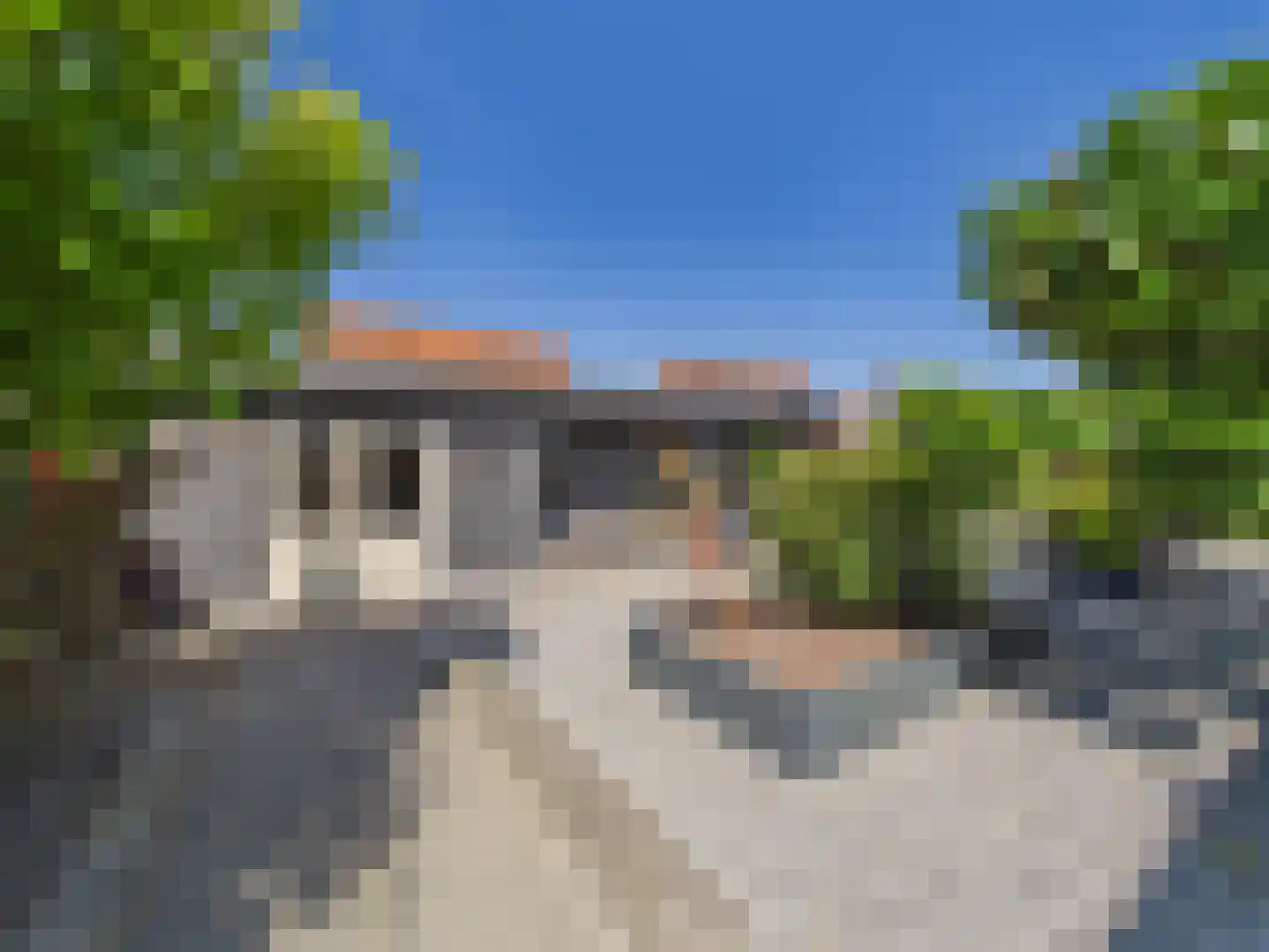 Platschelp 4 Terneuzen thumbnail 49