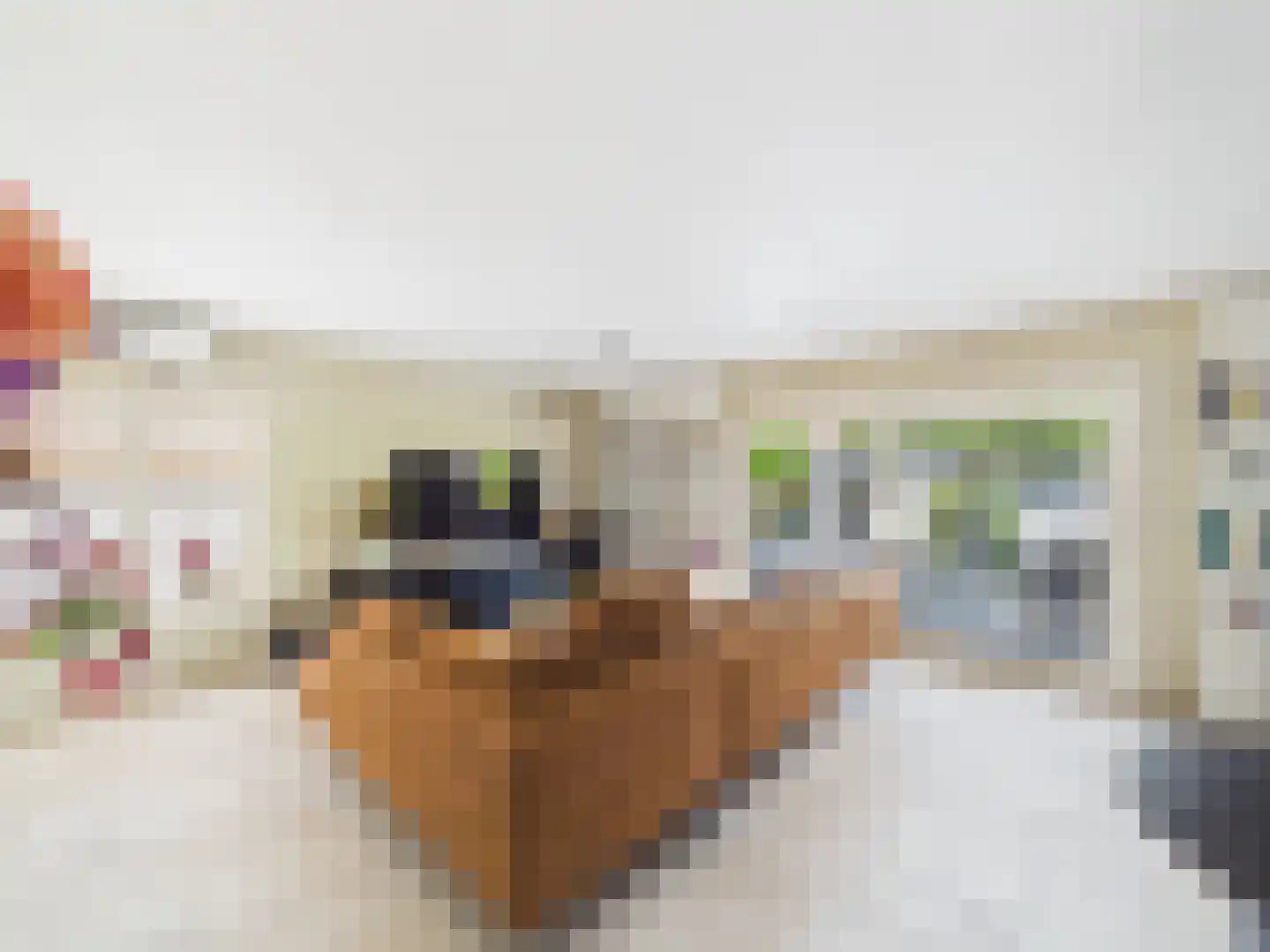 Platschelp 4 Terneuzen thumbnail 5