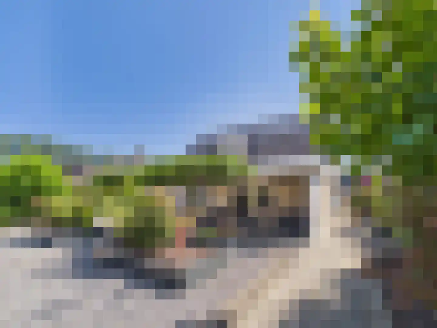 Platschelp 4 Terneuzen thumbnail 51