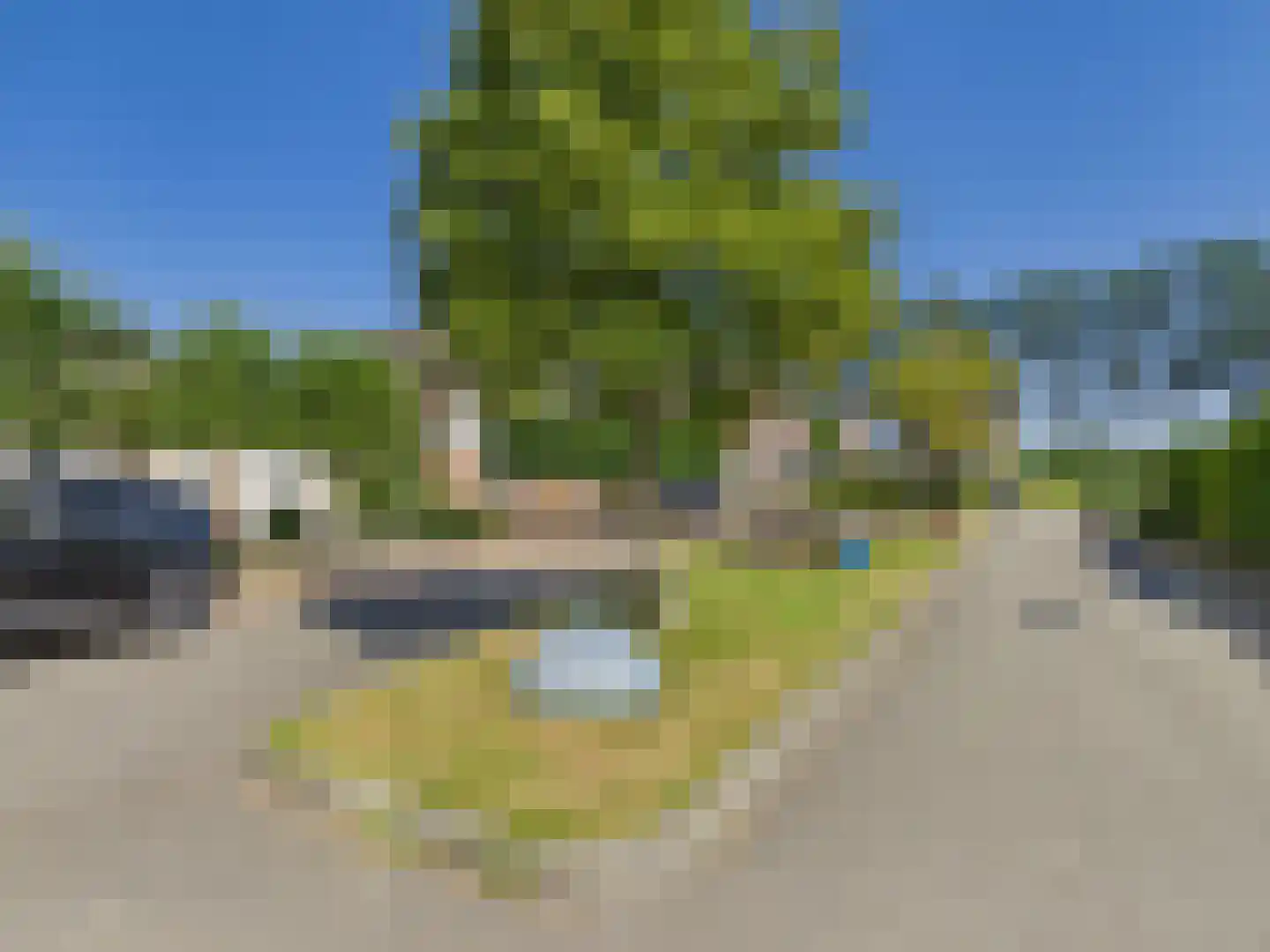 Platschelp 4 Terneuzen thumbnail 55