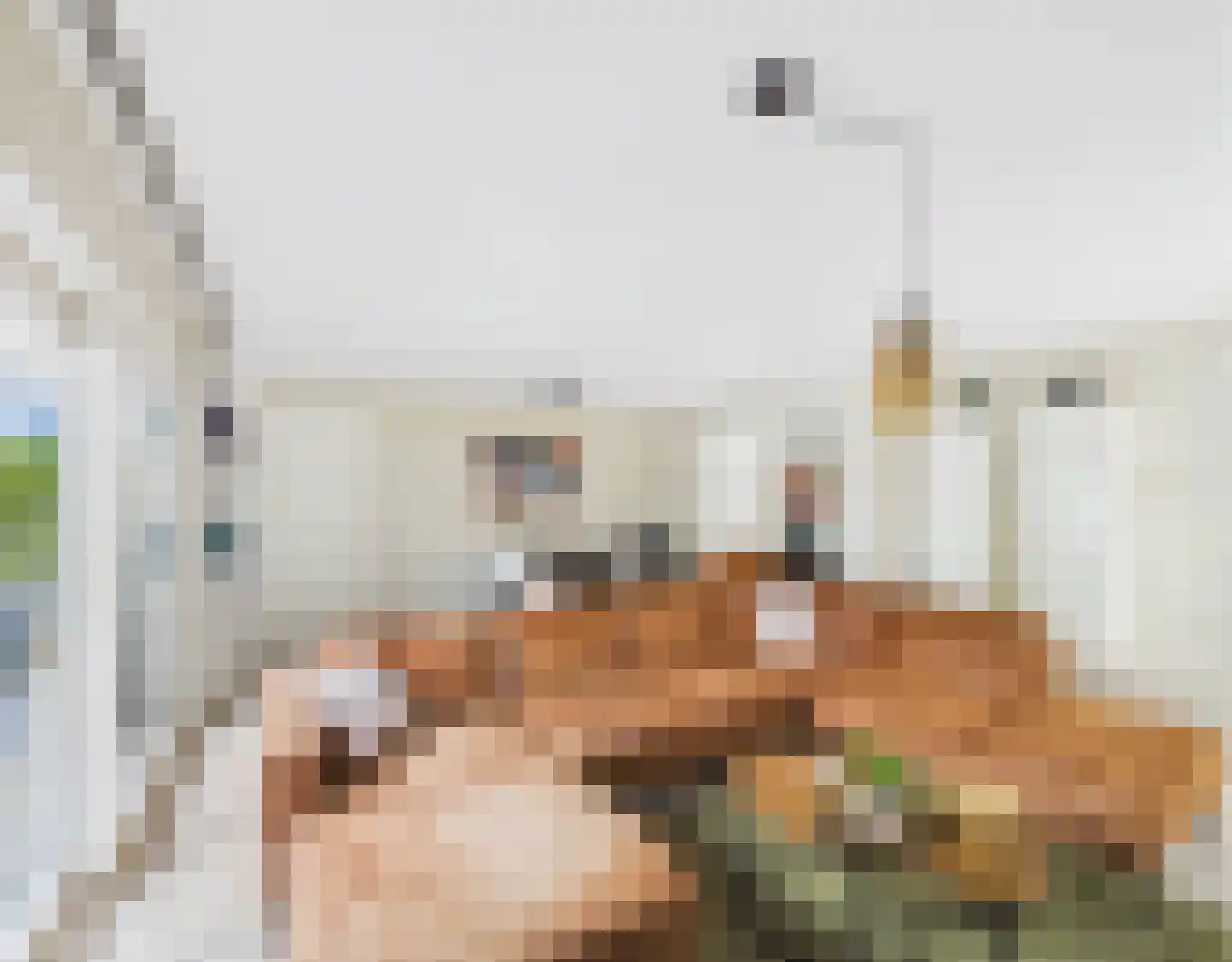 Platschelp 4 Terneuzen thumbnail 7