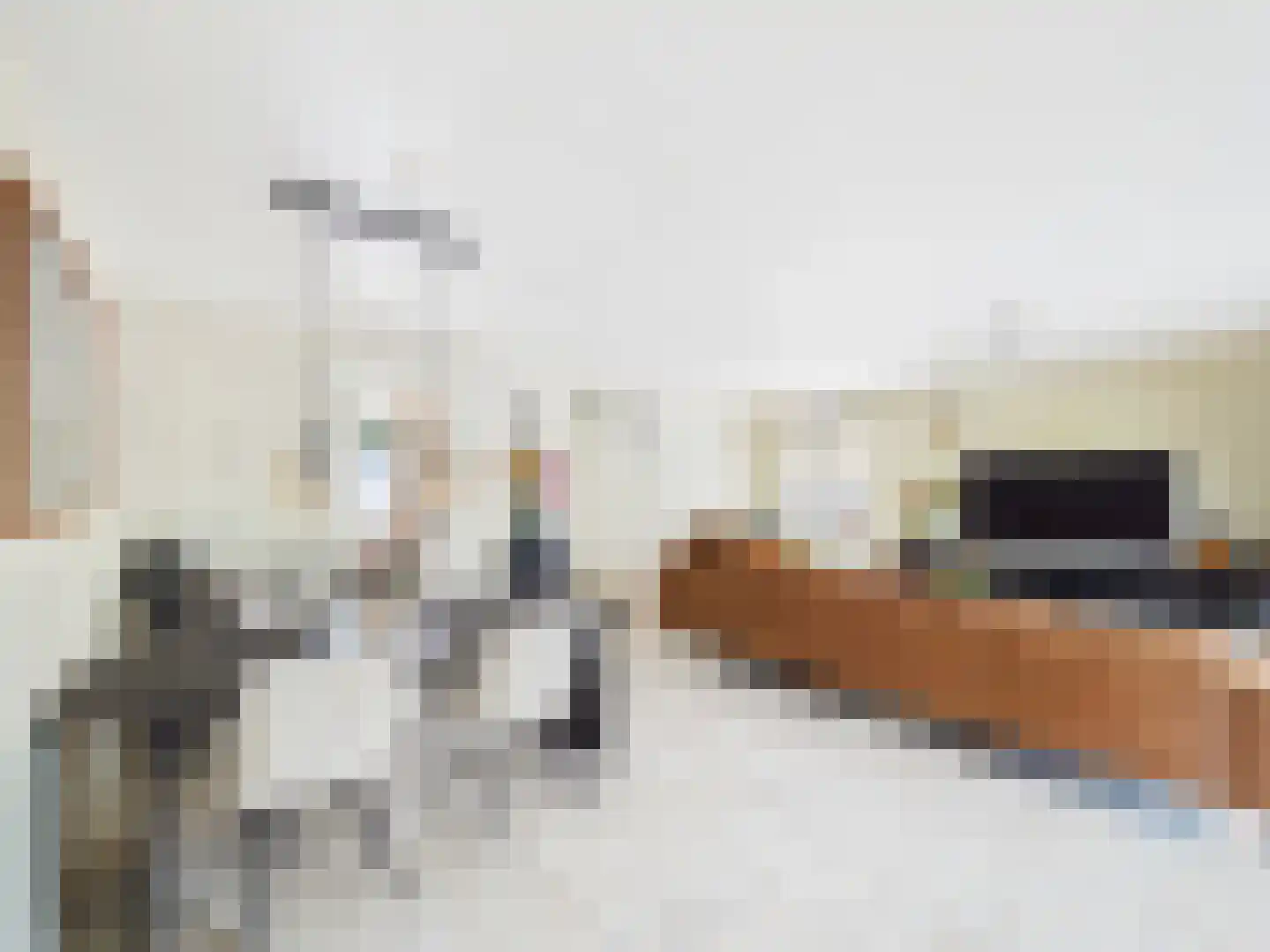 Platschelp 4 Terneuzen thumbnail 8