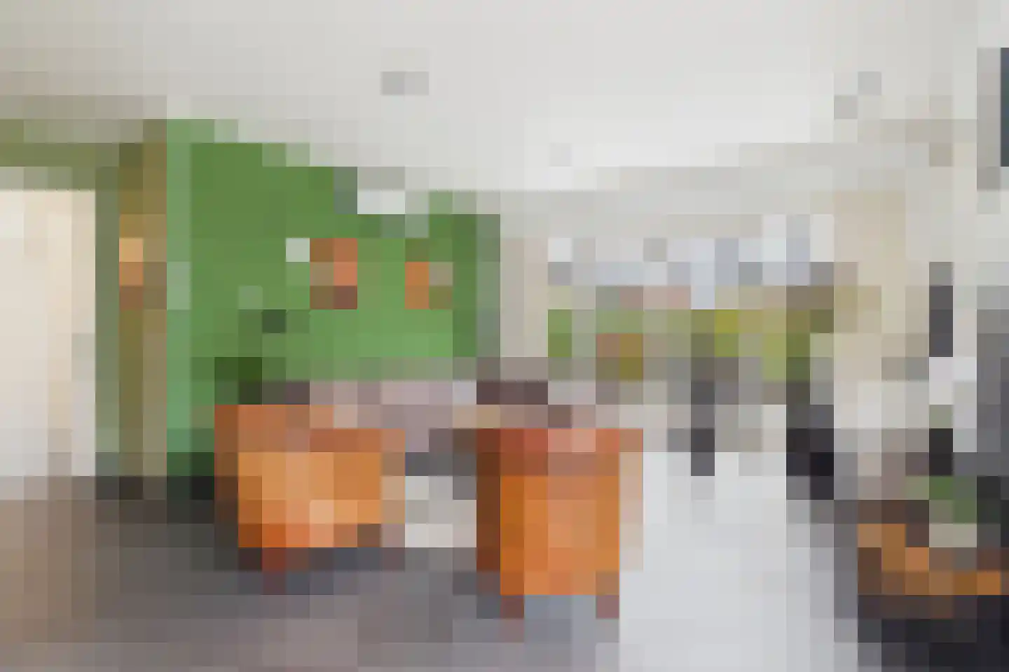 Platschelp 7 Terneuzen thumbnail 13