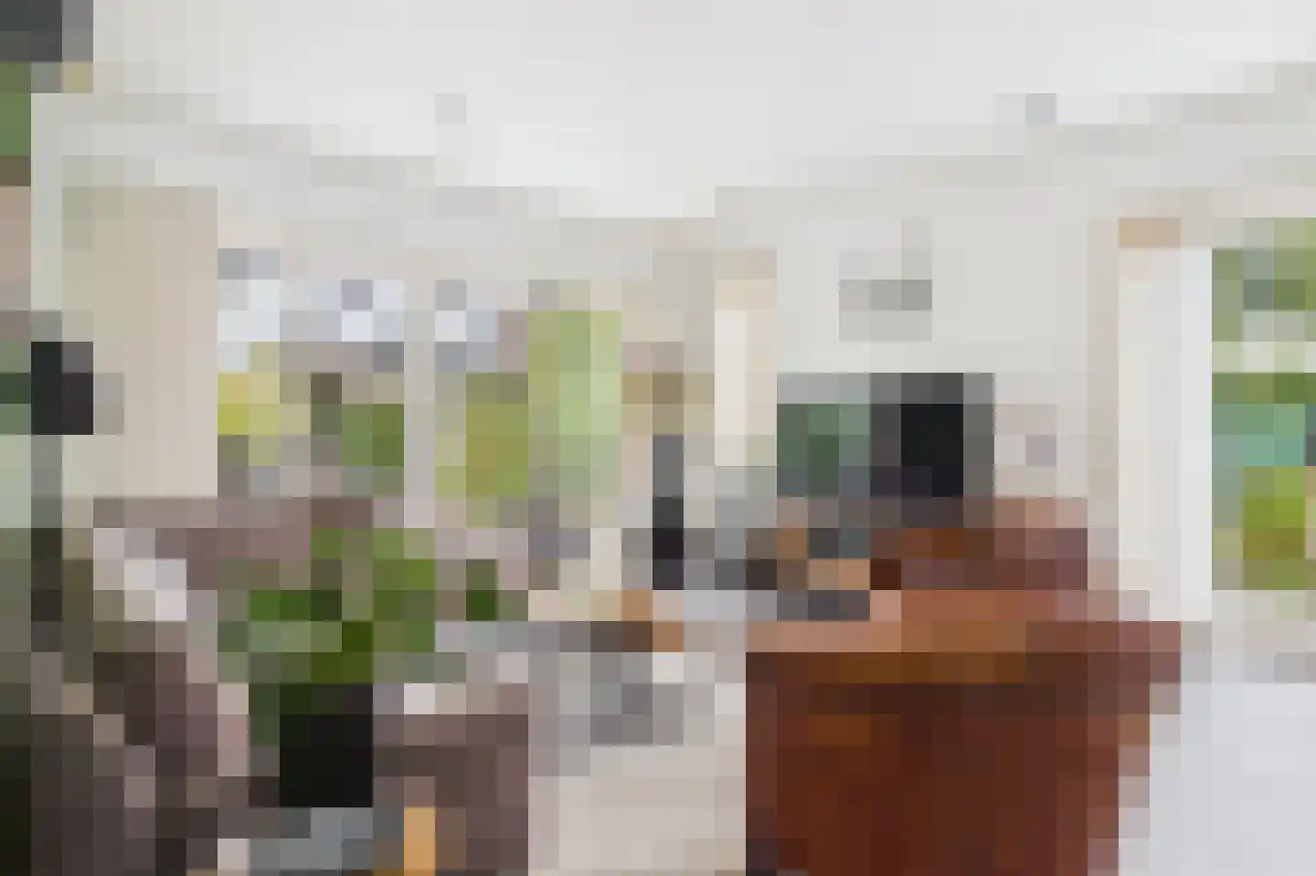Platschelp 7 Terneuzen thumbnail 14